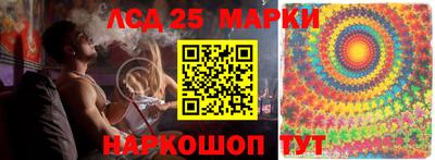 стаф Кинель