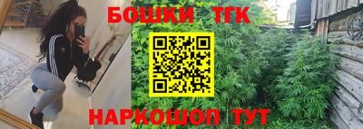 стаф Кинель
