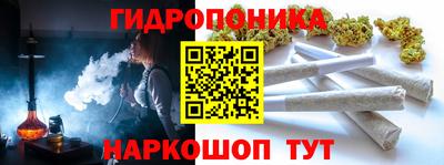 эйфоретик Кингисепп