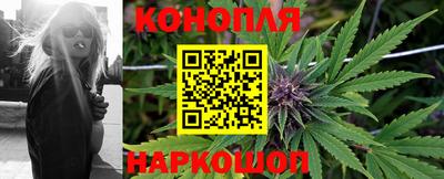 стаф Кинель