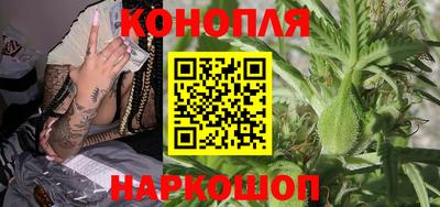 эйфоретик Кингисепп