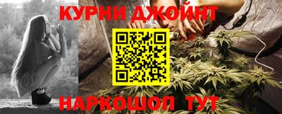 эйфоретик Кингисепп