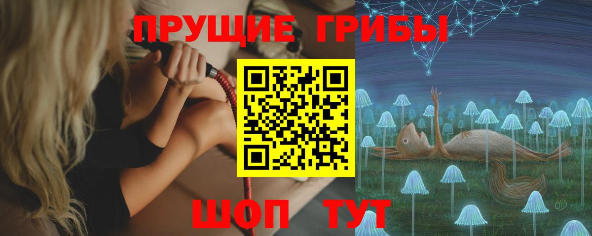 Псилоцибиновые грибы прущие грибы Великий Устюг